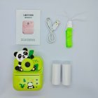 OEM/ODM manufacturing supply Y900 green panda instant print camera gift set including thermal paper, lanyard, cable and manual.