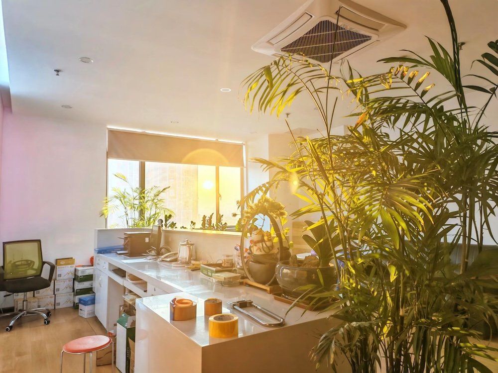 Bright and welcoming receptiion area of Qisola with natural sunlight, indoor plants and modern office design.